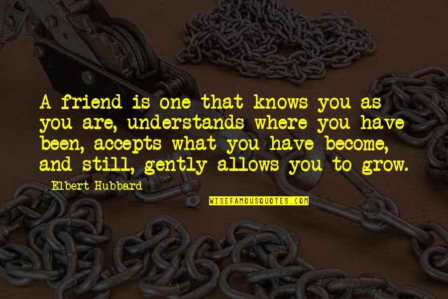 That One Friend Quotes By Elbert Hubbard: A friend is one that knows you as