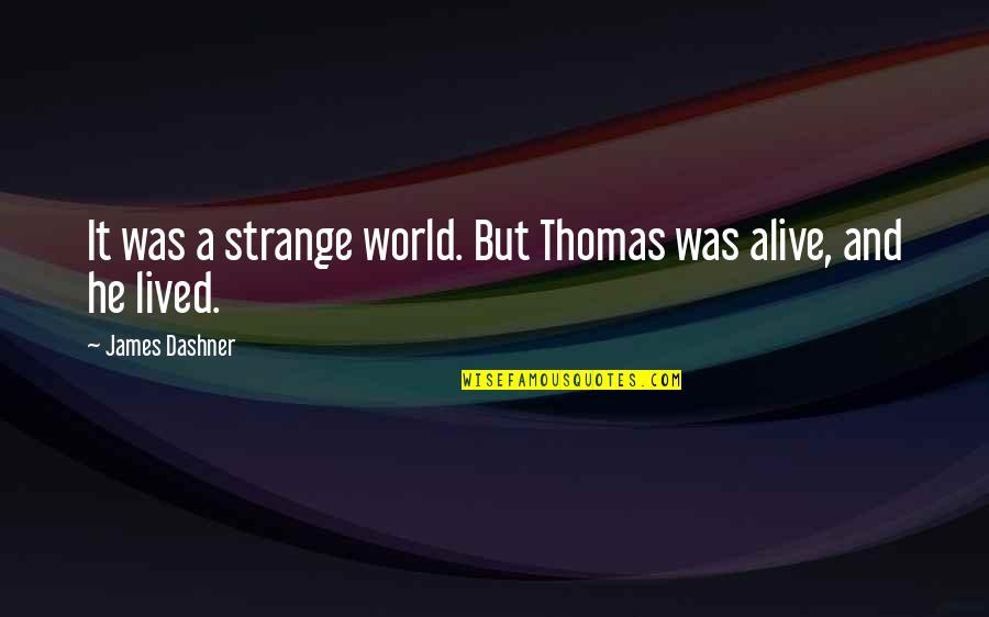 That One Special Girl Quotes By James Dashner: It was a strange world. But Thomas was
