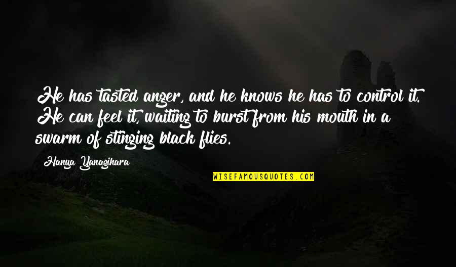 That Special Lady Quotes By Hanya Yanagihara: He has tasted anger, and he knows he