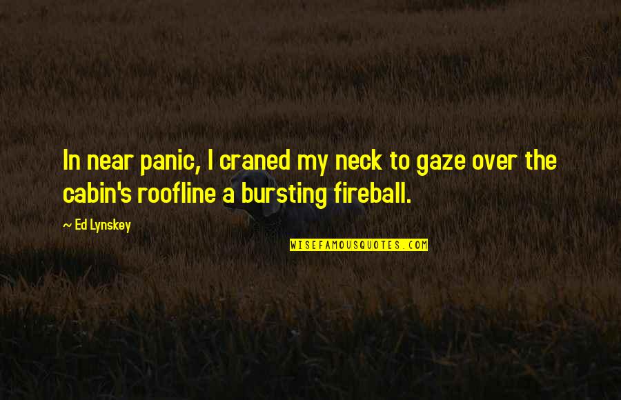 That Special Someone Making You Smile Quotes By Ed Lynskey: In near panic, I craned my neck to