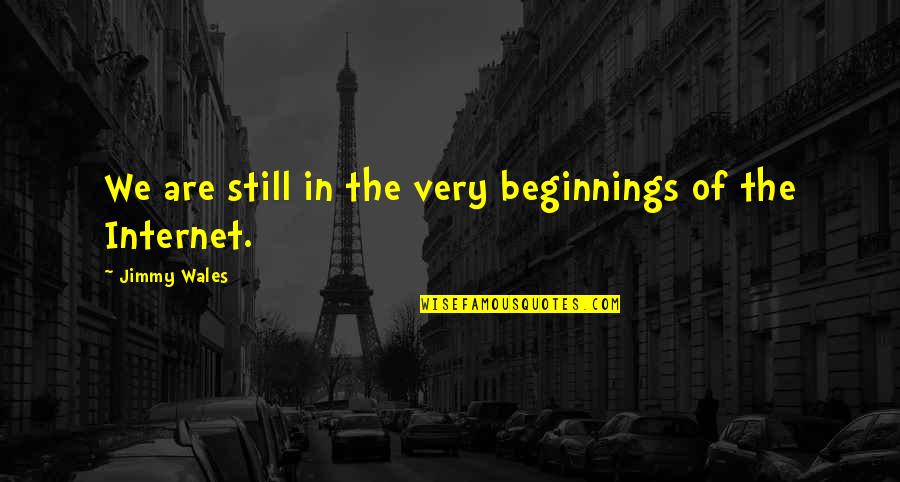 That Special Someone Making You Smile Quotes By Jimmy Wales: We are still in the very beginnings of