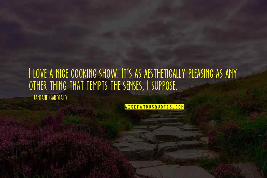 That Stands To Reason Quotes By Janeane Garofalo: I love a nice cooking show. It's as