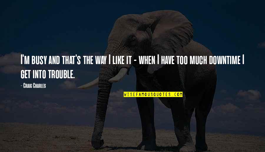 That The Way I Like It Quotes By Craig Charles: I'm busy and that's the way I like That The Way I Like It Quotes By Craig Charles: I'm busy and that's the way I like
