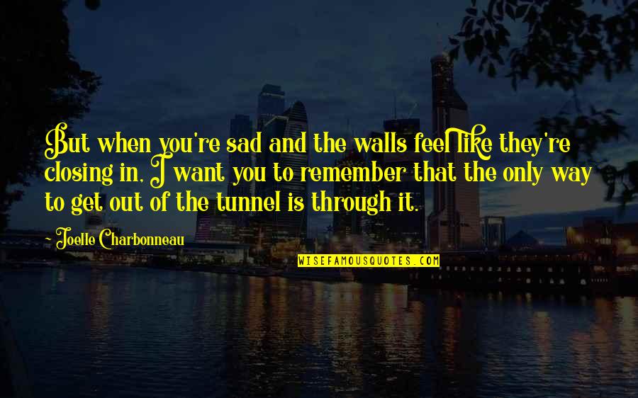 That The Way I Like It Quotes By Joelle Charbonneau: But when you're sad and the walls feel