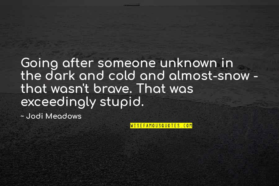 That Was Stupid Quotes By Jodi Meadows: Going after someone unknown in the dark and