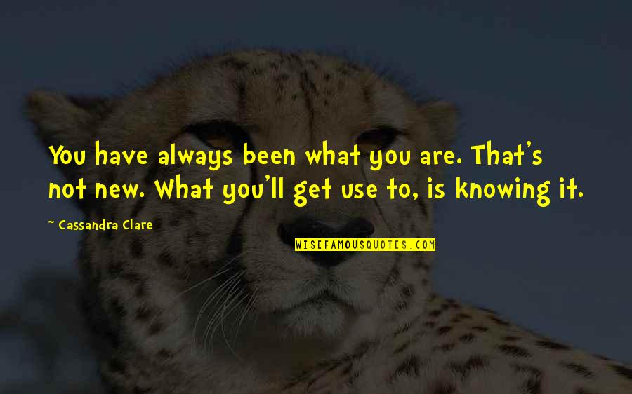 That's What You Get Quotes By Cassandra Clare: You have always been what you are. That's