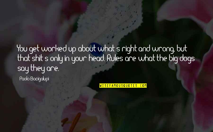 That's What You Get Quotes By Paolo Bacigalupi: You get worked up about what's right and