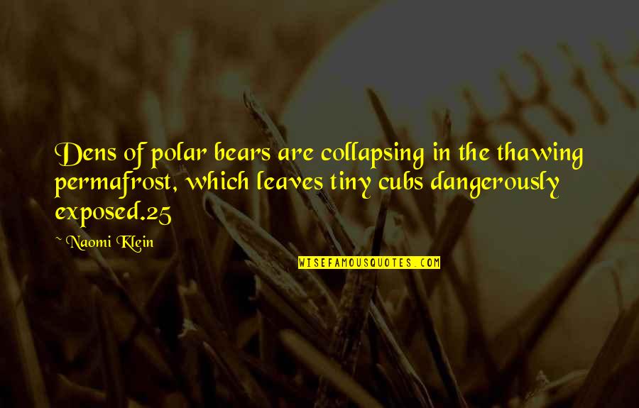 Thawing Out Quotes By Naomi Klein: Dens of polar bears are collapsing in the