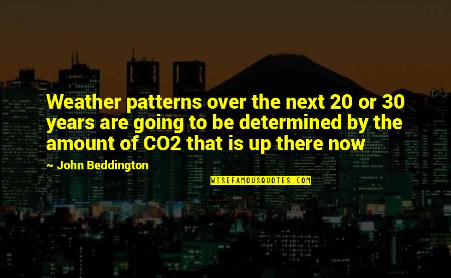 The 30 Quotes By John Beddington: Weather patterns over the next 20 or 30