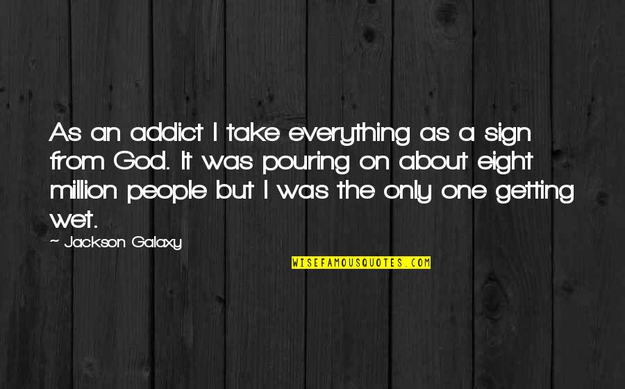 The Addict Quotes By Jackson Galaxy: As an addict I take everything as a