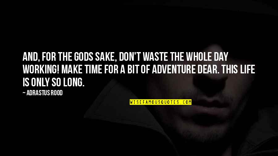 The Adventure Of Life Quotes By Adrastus Rood: And, for the gods sake, don't waste the