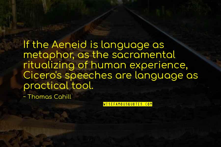 The Aeneid Quotes By Thomas Cahill: If the Aeneid is language as metaphor, as