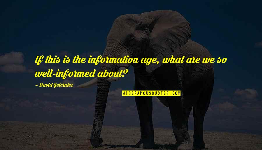 The Age Of Information Quotes By David Gelernter: If this is the information age, what are