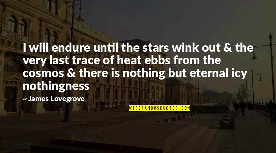 The Age Share Quotes By James Lovegrove: I will endure until the stars wink out