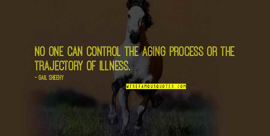 The Aging Process Quotes By Gail Sheehy: No one can control the aging process or