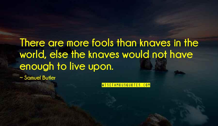 The Alchemist And The Angel Quotes By Samuel Butler: There are more fools than knaves in the