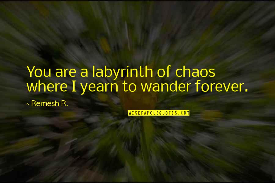 The Alchemy Of Happiness Quotes By Remesh R.: You are a labyrinth of chaos where I