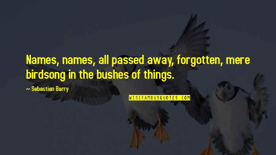 The American Civil War Quotes By Sebastian Barry: Names, names, all passed away, forgotten, mere birdsong