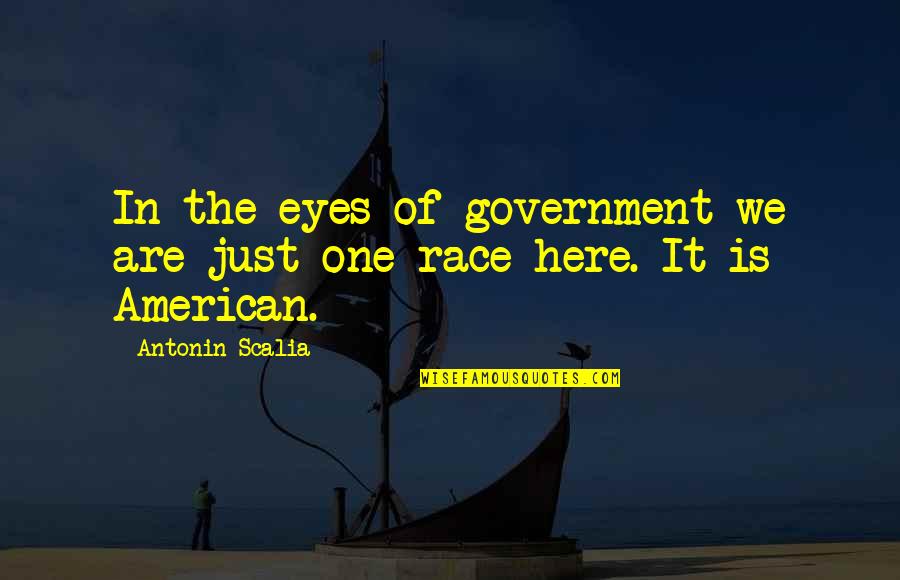 The American Government Quotes By Antonin Scalia: In the eyes of government we are just