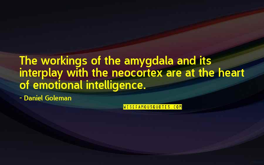 The Amygdala Quotes By Daniel Goleman: The workings of the amygdala and its interplay