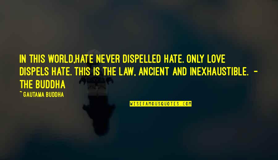 The Ancient World Quotes By Gautama Buddha: In this world,hate never dispelled hate. Only love The Ancient World Quotes By Gautama Buddha: In this world,hate never dispelled hate. Only love