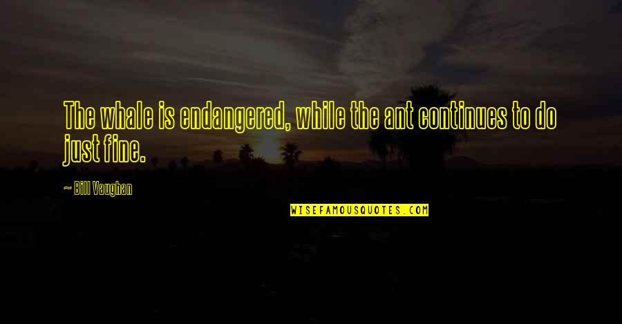 The Ant Quotes By Bill Vaughan: The whale is endangered, while the ant continues