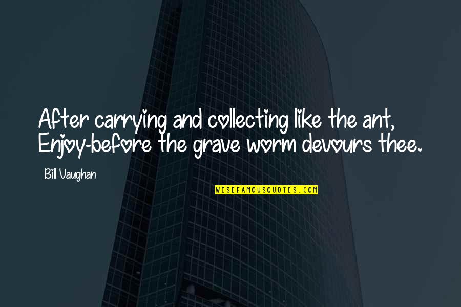 The Ant Quotes By Bill Vaughan: After carrying and collecting like the ant, Enjoy-before