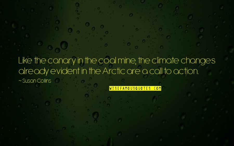The Arctic Quotes By Susan Collins: Like the canary in the coal mine, the