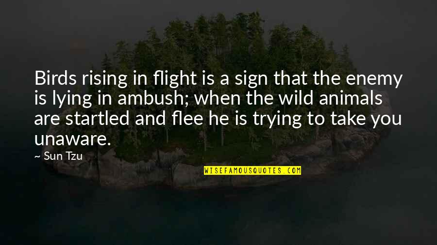 The Art Of Flight Quotes By Sun Tzu: Birds rising in flight is a sign that