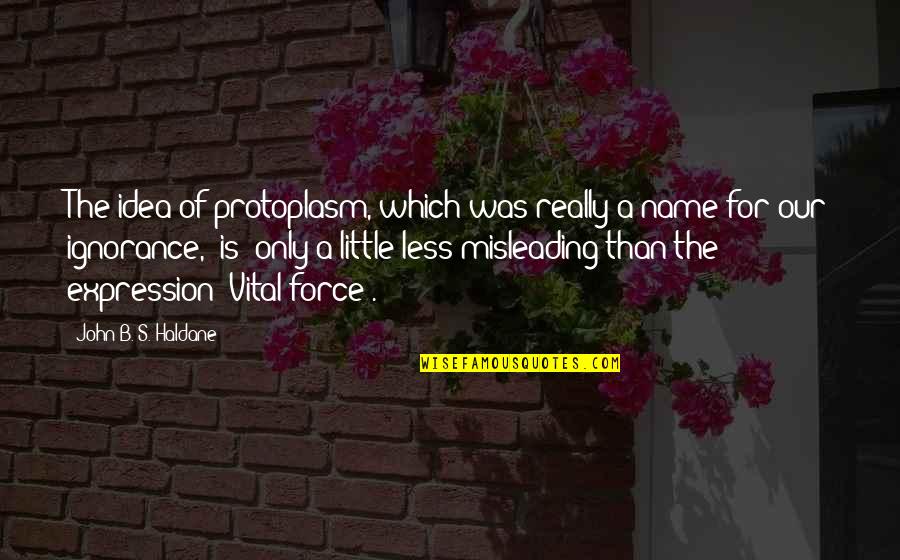 The B-17 Quotes By John B. S. Haldane: The idea of protoplasm, which was really a