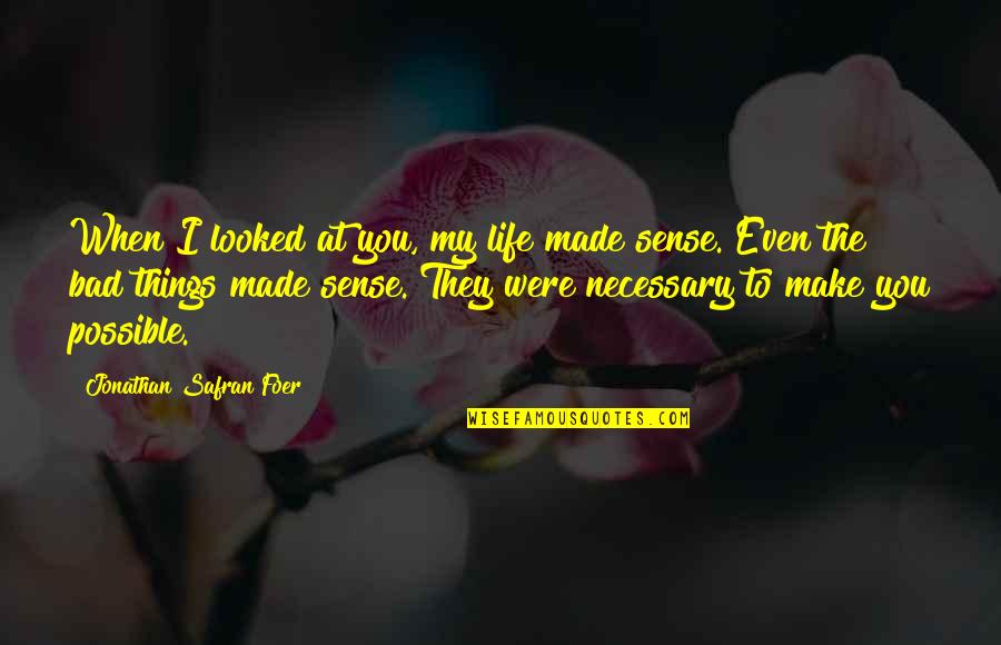The Bad Things In Life Quotes By Jonathan Safran Foer: When I looked at you, my life made The Bad Things In Life Quotes By Jonathan Safran Foer: When I looked at you, my life made