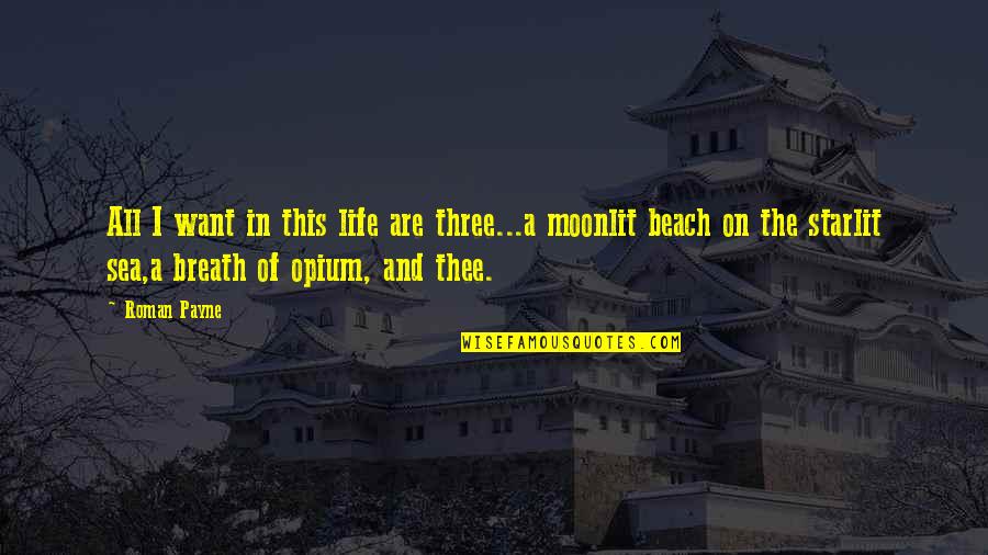 The Beach And Life Quotes By Roman Payne: All I want in this life are three...a