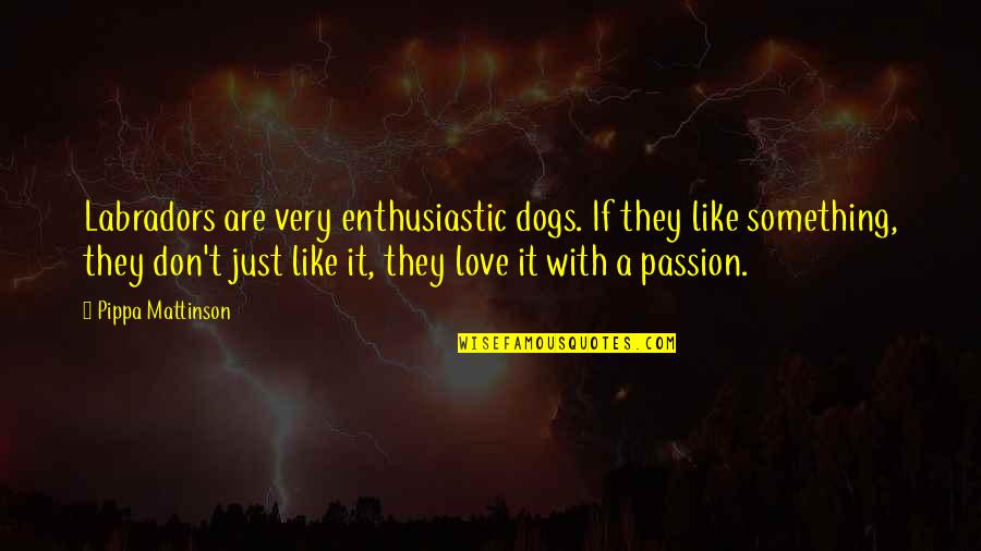 The Beach Movie Leonardo Dicaprio Quotes By Pippa Mattinson: Labradors are very enthusiastic dogs. If they like The Beach Movie Leonardo Dicaprio Quotes By Pippa Mattinson: Labradors are very enthusiastic dogs. If they like