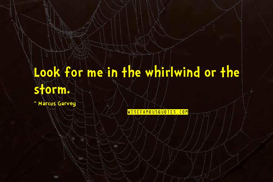 The Beach Short Quotes By Marcus Garvey: Look for me in the whirlwind or the The Beach Short Quotes By Marcus Garvey: Look for me in the whirlwind or the