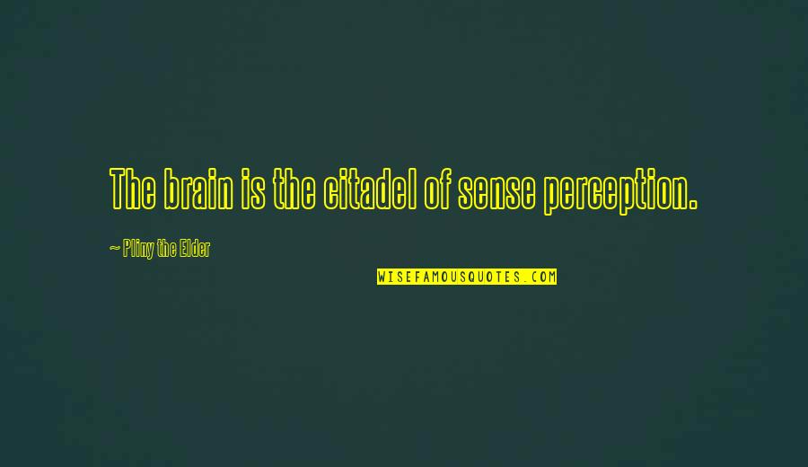 The Beautiful And Damned Alcohol Quotes By Pliny The Elder: The brain is the citadel of sense perception.