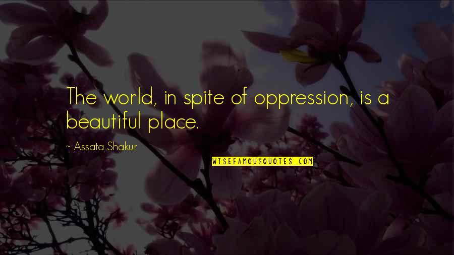 The Beautiful Place Quotes By Assata Shakur: The world, in spite of oppression, is a