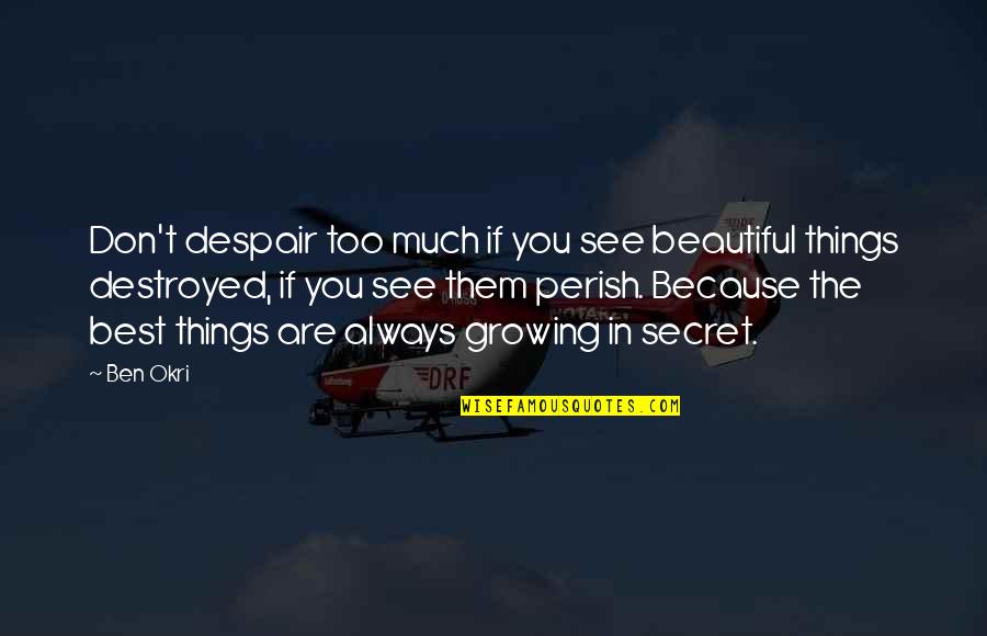 The Beautiful Things Quotes By Ben Okri: Don't despair too much if you see beautiful