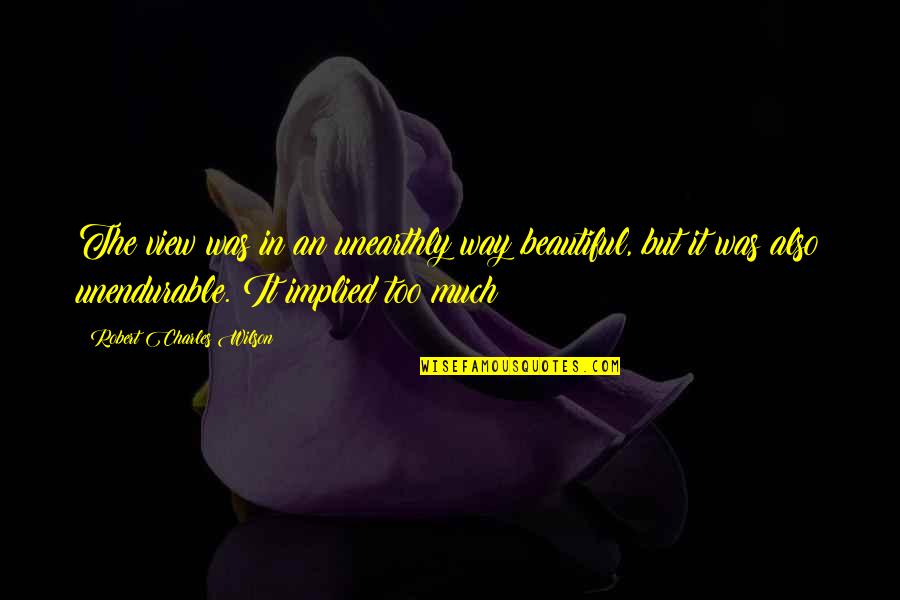 The Beautiful View Quotes By Robert Charles Wilson: The view was in an unearthly way beautiful,