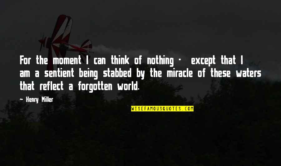 The Beautiful World Quotes By Henry Miller: For the moment I can think of nothing