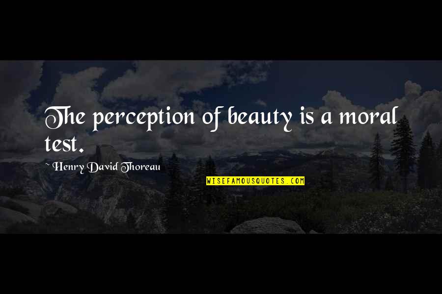 The Beauty Of Books Quotes By Henry David Thoreau: The perception of beauty is a moral test.