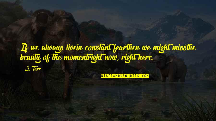 The Beauty Of The Moment Quotes By S. Tarr: If we always livein constant fearthen we might