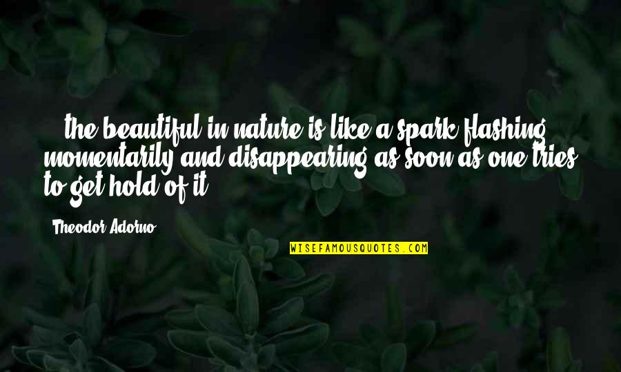 The Beauty Of The Moment Quotes By Theodor Adorno: ...the beautiful in nature is like a spark