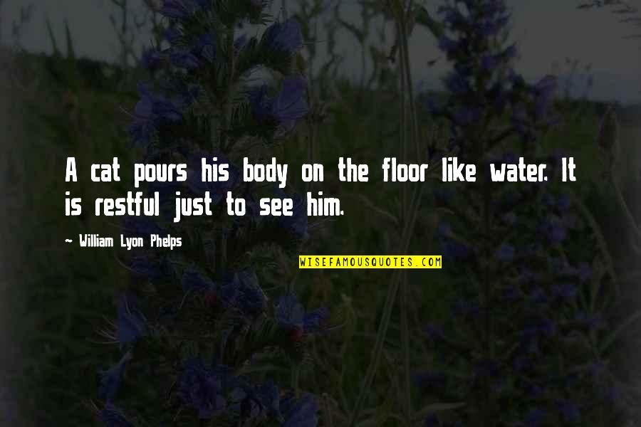 The Bed And The Bachelor Quotes By William Lyon Phelps: A cat pours his body on the floor