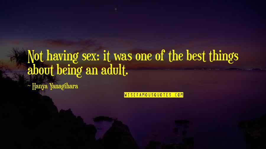 The Being Of Things Quotes By Hanya Yanagihara: Not having sex: it was one of the