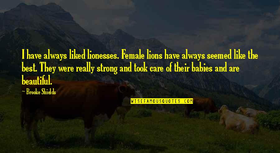 The Best Beautiful Quotes By Brooke Shields: I have always liked lionesses. Female lions have