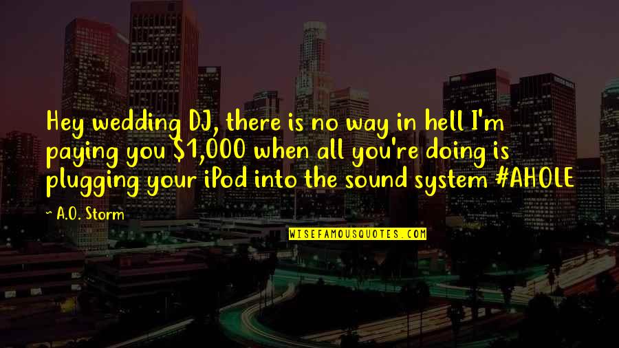 The Best Dj Quotes By A.O. Storm: Hey wedding DJ, there is no way in