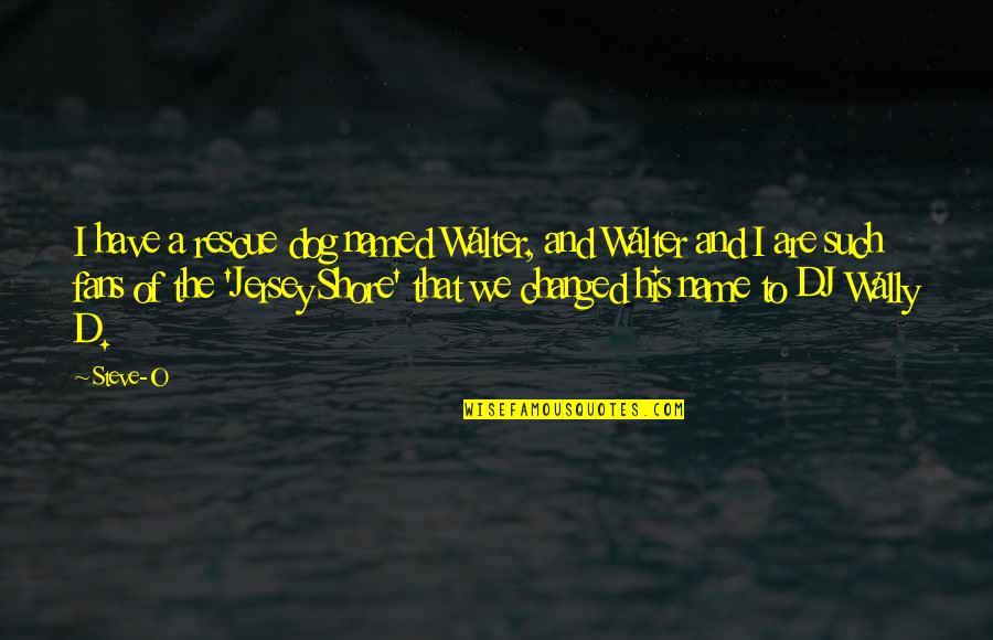 The Best Dj Quotes By Steve-O: I have a rescue dog named Walter, and The Best Dj Quotes By Steve-O: I have a rescue dog named Walter, and