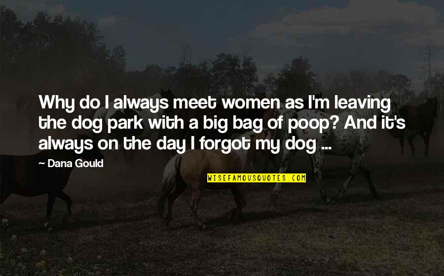 The Best Dog Quotes By Dana Gould: Why do I always meet women as I'm
