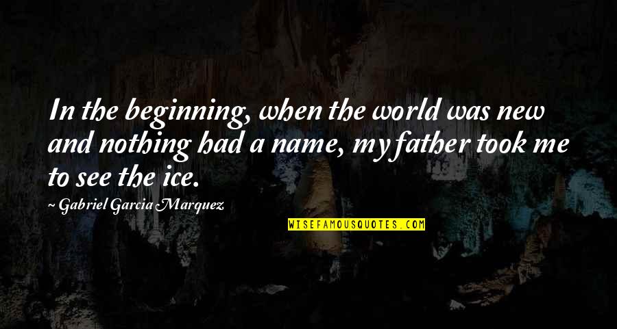 The Best Father In The World Quotes By Gabriel Garcia Marquez: In the beginning, when the world was new