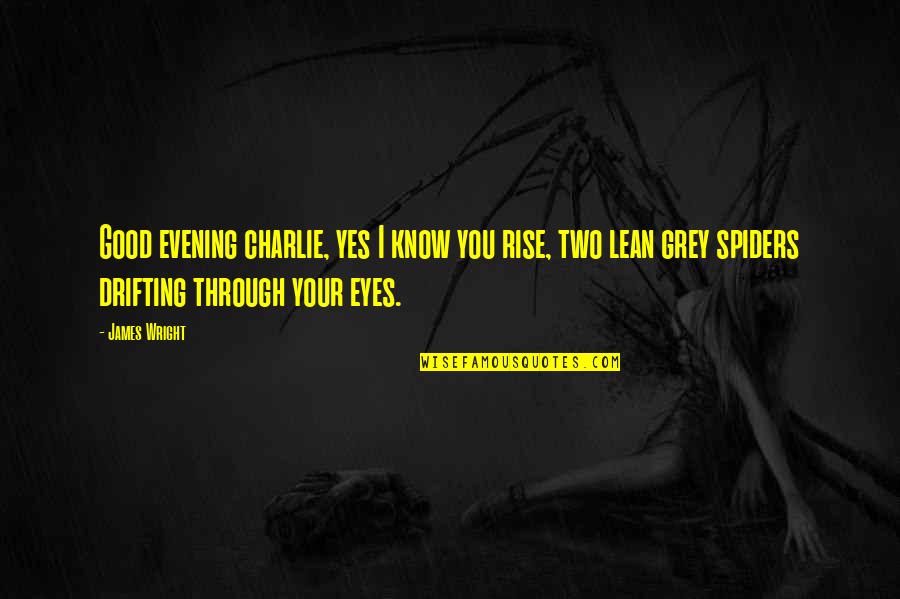 The Best Good Evening Quotes By James Wright: Good evening charlie, yes I know you rise,